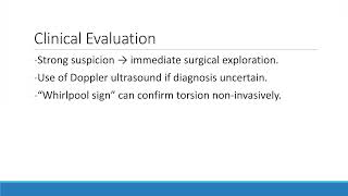Core Videos (2025): Scrotal Condition of Whirlpool Sign