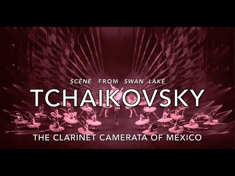 Support Music Scholarships for Mexican Youths