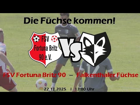 Spieltag 12: FSV Fortuna Britz vs. FC Falkenthaler Füchse