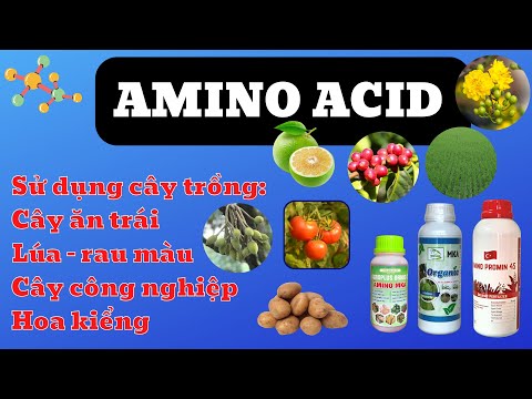 All about amino acids | Use on fruit trees, rice, vegetables, industrial crops and ornamental flo...