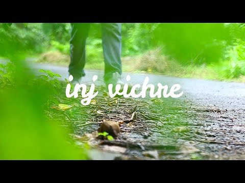 Anmol Jaswal Inj Vichre