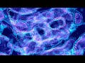 Ten Madison - Eternity (Slowed + Reverb)