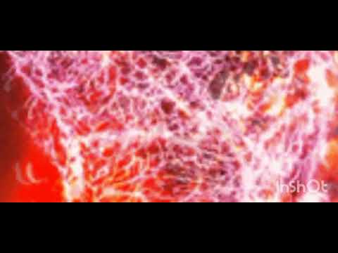 Zostrianos part 2 final