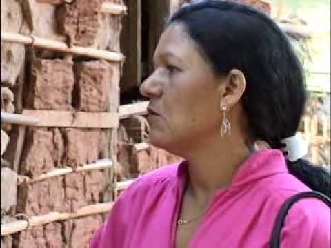 Entre o amor e a razão - a veaca