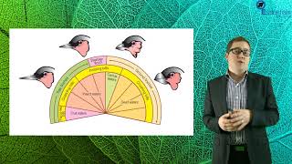 Essentials Concept Video SACE2 Biology - Evolution