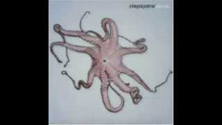 Clepsydra -12. God Or Beggar