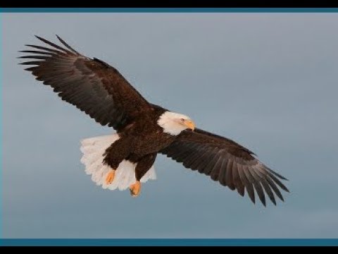 تستخرج Novyj Trend Smotret Onlajn Na Sajte Trendovi Ru