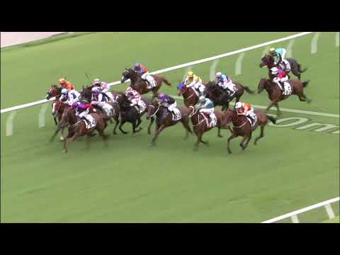 13/6/2021 (753) Bulb Pals - B Shinn