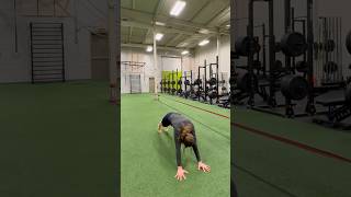 Inchworm demonstration thumbnail