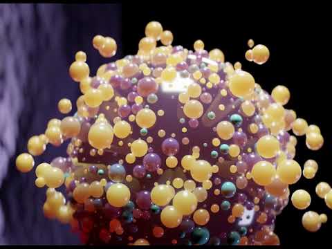 Smell Molecules Begin their Journey