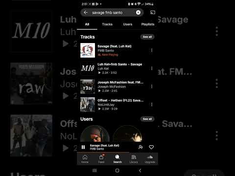FMB Santo - Savage (feat. Luh Kel)