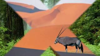 Sade  Siempre Hay Esperanza