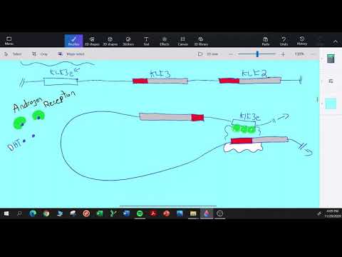 The Chromatin Conformation Capture (3C) Assay (Recommend 1.5x Speed)