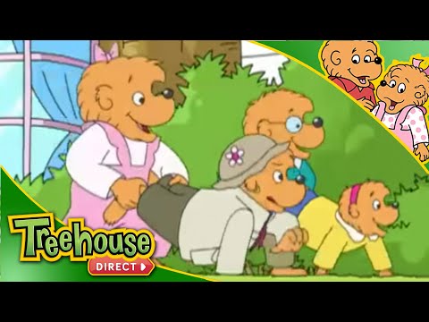 The Berenstain Bears | Family Gatherings - Kids TV Series, Kingdom Kids Zone - Treehouse Direct