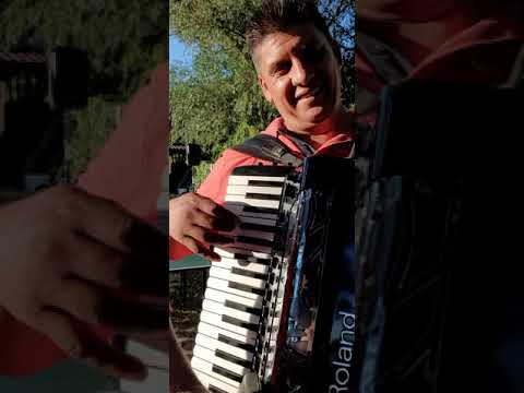 Bebe Dragomir-Chef cu precini faini!!