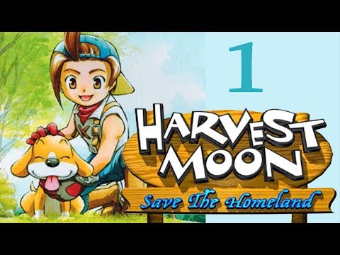 harvest moon save the homeland playstation 2 cheats