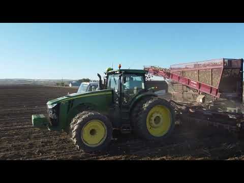 Sugar Beet Harvest 2023