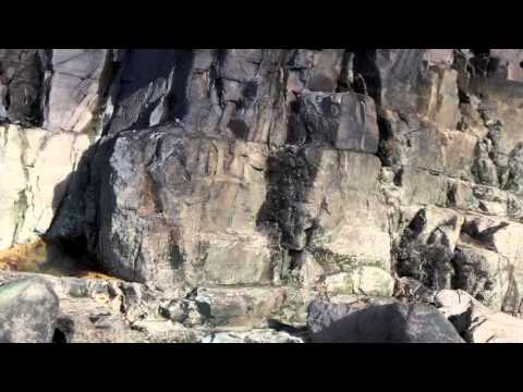 Porth Ysgo Cliff Photogrammetry 2