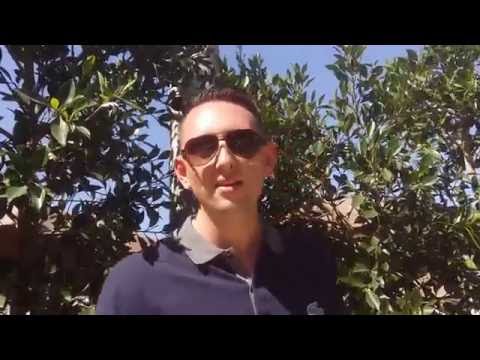 Jeremy Haynes, Megalodon Marketing Testimonial About Eric Lassard