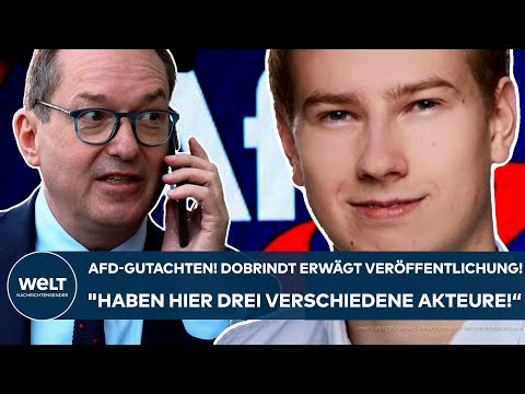 AFD: Gutachten! Dobrindt entscheidet über Veröffentlichung! "Haben hier drei verschiedene Akteure!"