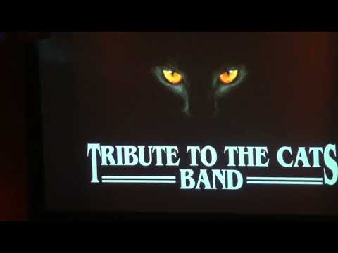 Tribute To The Cats Band - Rosie (Live@Lievekamp Oss)[7-5-2022]