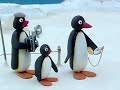 Pingu S04e26 Pingu And His Cup Dvdrip Xvid