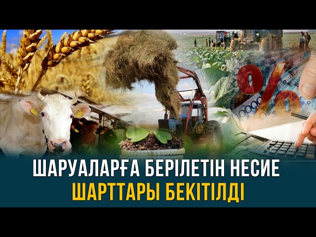 ЖАҢАЛЫҚТАР. 08.09.2023 күнгі шығарылым