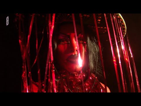 MAMBA NEGRA 8 ANNNUX - CAROL MATTOS  b2b NIKKATZE + @almanegrot9681