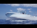 Dusky 252