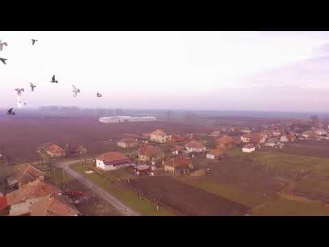 Ianculesti din drona