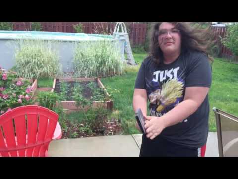 Game Review: Gauntlet(NES)