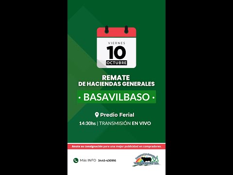 Remate de hacienda Basavilbaso 10-10-2025 | Coop. Ganadera El Pronunciamiento