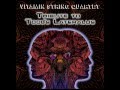 The Patient - Vitamin String Quartet Performs Tool's Lateralus