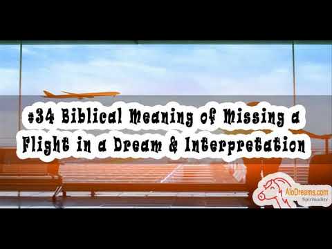 #33 Missing a Flight in a Dream - Biblical Meaning & Interpretation