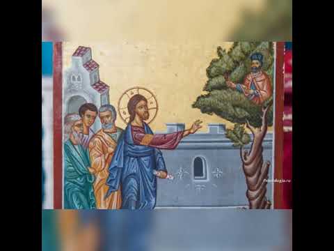 Pr. Antonie - Predică la Duminica a32-a după Rusalii, a lui Zaheu