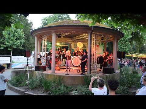 Guggemusik Rhoirevoluzzer - Chöre