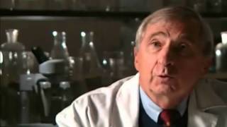 Israel In Ancient Egypt - Archaeological Proof...