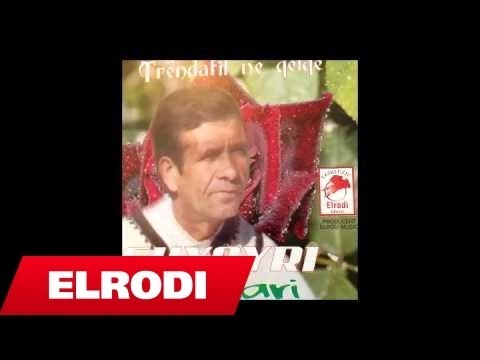 Shyqyri Nikollari - Dhenderri nga Zvezda