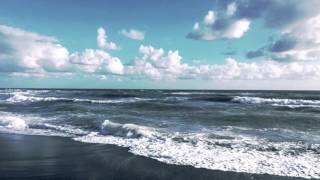 Disordine d&#39;aprile - Max Gazze&#39;