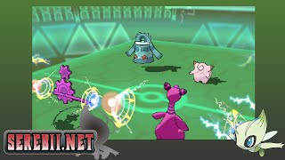 Serebii Tests #4 - Flux Capacitor