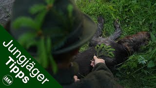 Brüche auf der Jagd | Worauf Du achten solltest | Jungjägertipps