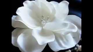 Diamonds And Pearls "BY" Kenny Vance & The Planotones