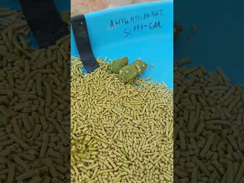 Тофу наполнитель для туалетов и клеток гіпоалергенний, 6л, 2.6кг Tofu - фото 1 - id-p2017664751