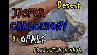 Lahontan Jasper Chalcedony & Opal