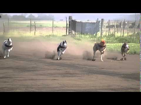 MONJITA-OVERA- (CARRERA PUESTA)