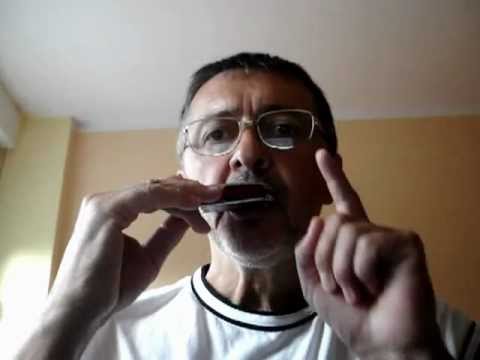 Sonny Terry ritam -kako svirati