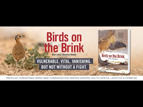 BIRDS ON THE BRINK - South Africa’s threatened bird species and those working to save them