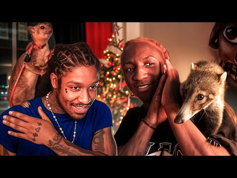 Raud & Skrilla gegen exotische Tiere!