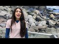 Keeper Corner Penguin Conservation