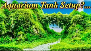 How To Properly Setup Fresh Water Aquarium Fish Tank? Step By Step Process.. / Fish Aquarium Tamil